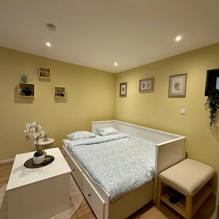 Tinymoko - - Proche Du Shape Et Pairi Daiza *