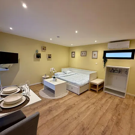 Tinymoko - - Proche Du Shape Et Pairi Daiza Μον