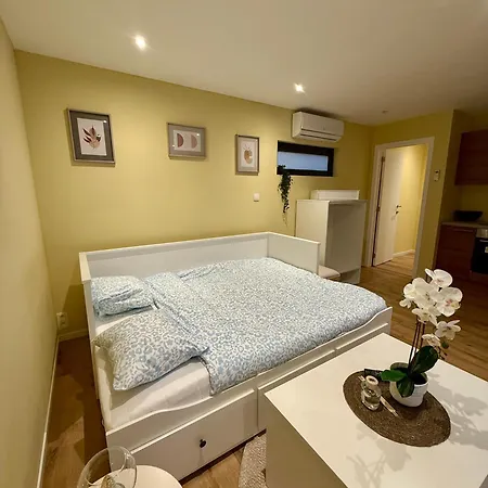 Tinymoko - - Proche Du Shape Et Pairi Daiza