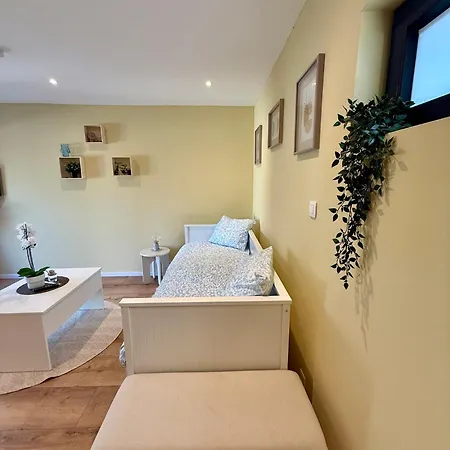 Tinymoko - - Proche Du Shape Et Pairi Daiza Дом отдыха *