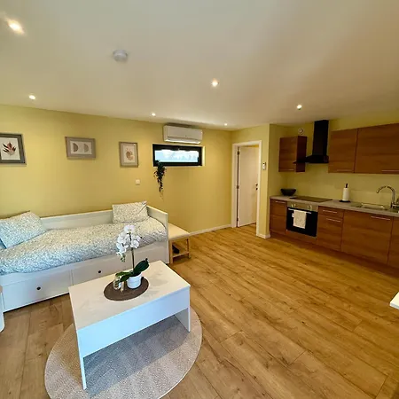 Tinymoko - - Proche Du Shape Et Pairi Daiza