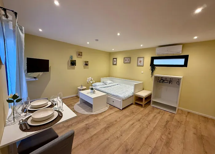 Tinymoko - - Proche Du Shape Et Pairi Daiza Mons