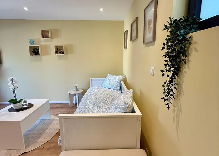 Tinymoko - - Proche Du Shape Et Pairi Daiza Сasa de vacaciones *