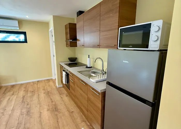 Tinymoko - - Proche Du Shape Et Pairi Daiza